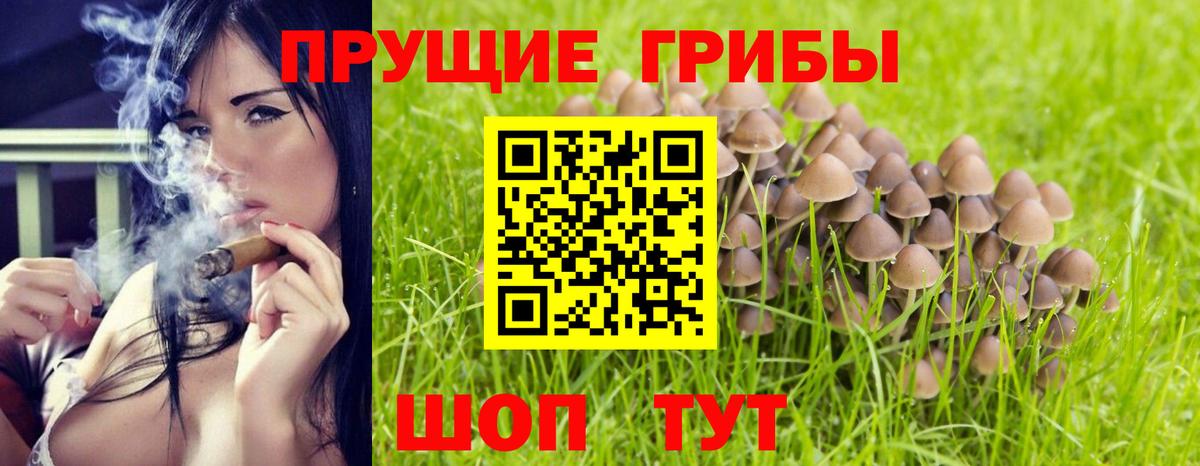 Малгобек  Псилоцибиновые грибы Cubensis  Вход с VPN  Псилоцибиновые грибы Psilocybe 